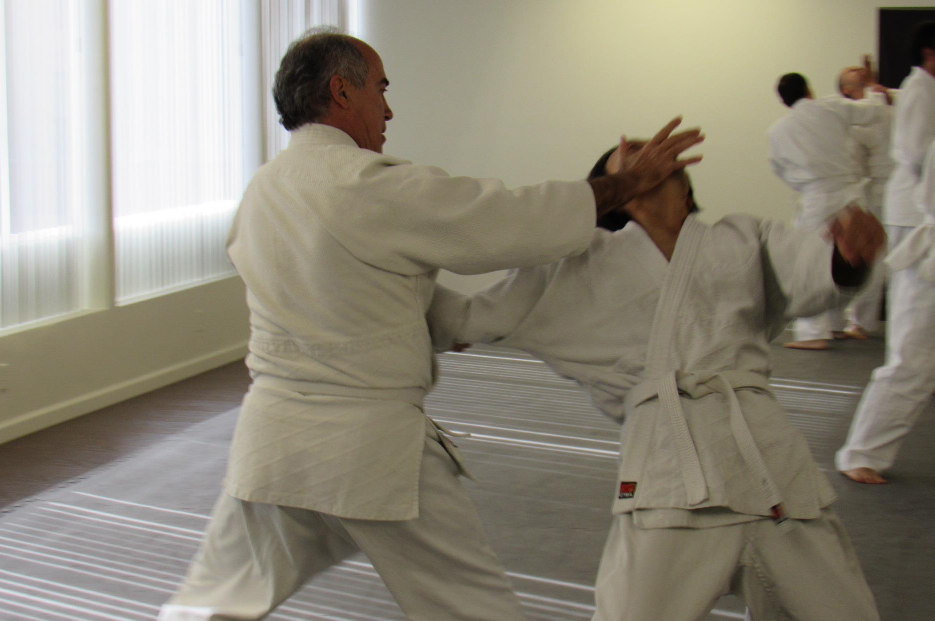 Aikido Los Angeles - Southland Aikido