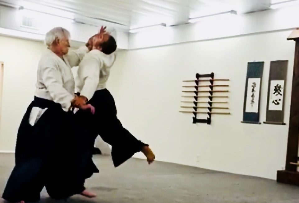 Harvey Konigsberg Sensei at Southland Aikdo